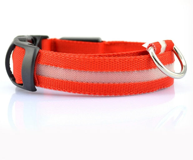 ight-Up Dog Collar — Stay Seen After Dark