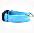 ight-Up Dog Collar — Stay Seen After Dark