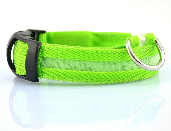 ight-Up Dog Collar — Stay Seen After Dark