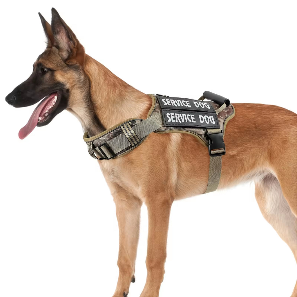 Heavy-Duty No-Pull Dog Harness With Handle — Stress-Free Walks