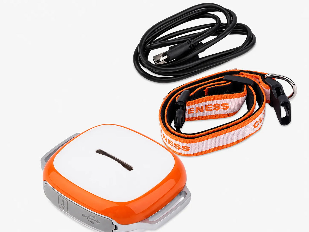 Real-Time Dog GPS Tracker — Never Lose Your Pet Again