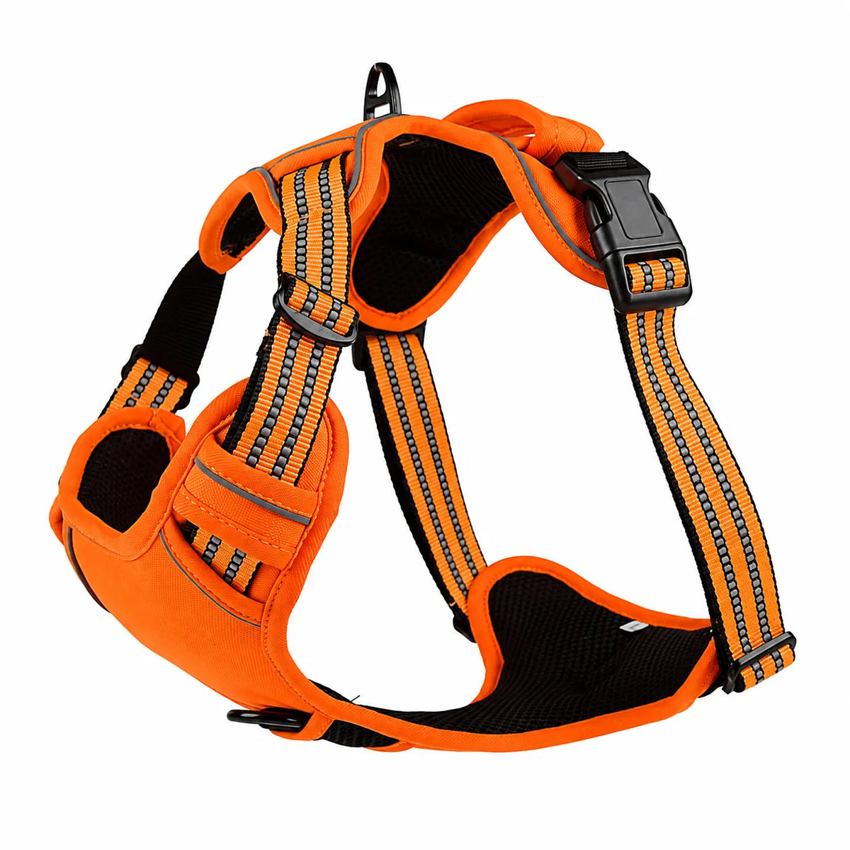 dog harness in orange, product shot